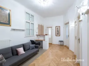 Pronájem bytu 5+kk, Praha - Nové Město, Gorazdova, 110 m2