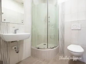 Pronájem bytu 5+kk, Praha - Nové Město, Gorazdova, 110 m2