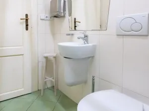 Pronájem bytu 5+kk, Praha - Nové Město, Gorazdova, 110 m2