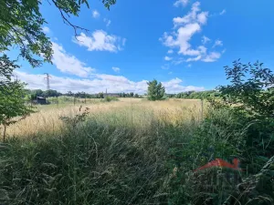 Prodej rodinného domu, Brumovice - Skrochovice, Opavská, 132 m2