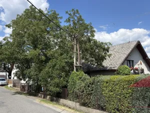 Prodej rodinného domu, Dlažov, 160 m2