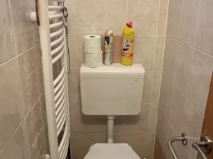 Prodej rodinného domu, Dlažov, 160 m2