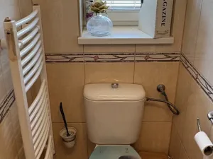 Prodej rodinného domu, Dlažov, 160 m2