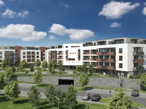 Pronájem bytu 1+kk, Olomouc, Aloise Rašína, 31 m2