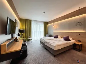 Prodej bytu 1+kk, Dolní Morava, 29 m2