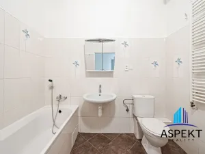 Pronájem bytu 2+1, Praha - Karlín, Vítkova, 65 m2