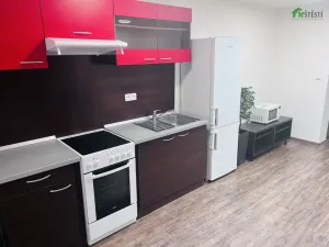 Pronájem bytu 1+kk, Třebíč - Horka-Domky, Bráfova tř., 52 m2