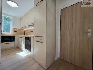 Prodej bytu 3+1, Meziboří, Okružní, 60 m2