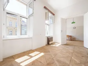 Prodej bytu 1+1, Brno, Údolní, 48 m2
