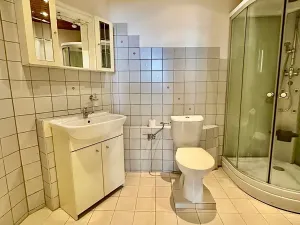 Pronájem bytu 1+1, Praha, 55 m2
