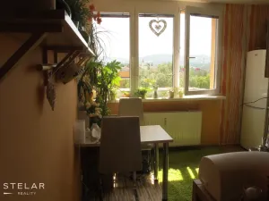 Prodej bytu 1+1, Frýdek-Místek - Frýdek, El. Krásnohorské, 37 m2