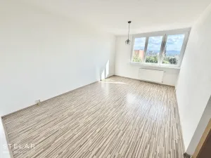 Prodej bytu 1+1, Frýdek-Místek - Frýdek, El. Krásnohorské, 37 m2