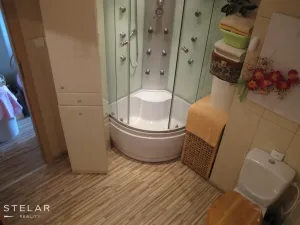 Prodej bytu 1+1, Frýdek-Místek - Frýdek, El. Krásnohorské, 37 m2