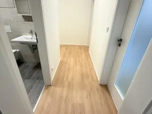 Pronájem bytu 2+kk, Brno, třída Generála Píky, 84 m2