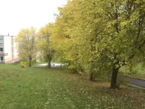 Prodej pozemku, Ústí nad Labem - Mojžíř, 450 m2