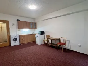 Pronájem bytu 1+kk, Kolín, Na Magistrále, 25 m2