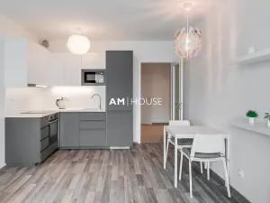 Pronájem bytu 1+1, Praha - Strašnice, Zvěřinova, 37 m2