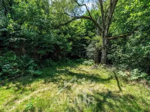 Prodej rodinného domu, Nosálov, 174 m2
