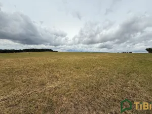 Prodej pole, Suchý, 2000 m2