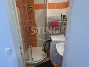 Pronájem bytu 1+1, Brno, Brožíkova, 33 m2