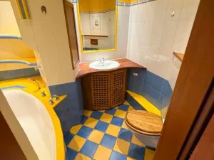 Pronájem bytu 1+1, Cheb, Dvořákova, 39 m2