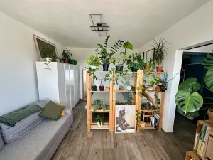 Pronájem bytu 1+1, Brno, Štouračova, 36 m2