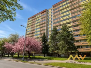 Prodej bytu 4+kk, Hradec Králové - Pražské Předměstí, Jungmannova, 90 m2