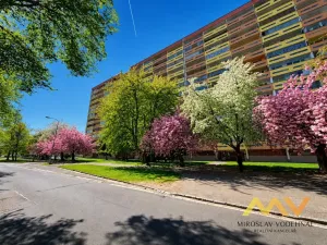 Prodej bytu 4+kk, Hradec Králové - Pražské Předměstí, Jungmannova, 90 m2