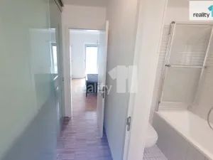 Pronájem bytu 2+kk, Praha - Žižkov, Prokopova, 66 m2