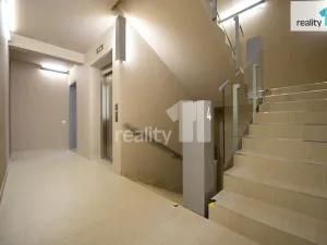 Pronájem bytu 2+kk, Praha - Žižkov, Prokopova, 66 m2