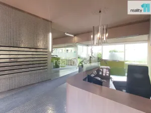 Pronájem bytu 2+kk, Praha - Žižkov, Prokopova, 66 m2