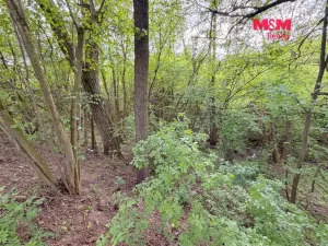 Prodej pozemku pro bydlení, Milešov, 2790 m2