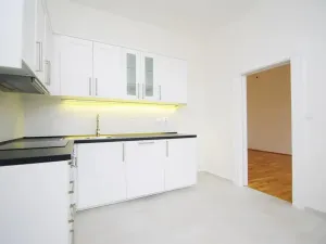 Pronájem bytu 1+1, Praha - Vinohrady, Mánesova, 47 m2