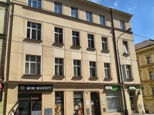 Pronájem bytu 1+kk, Praha - Žižkov, Seifertova, 25 m2