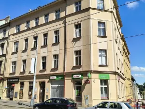 Pronájem bytu 1+kk, Praha - Žižkov, Seifertova, 25 m2
