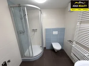 Pronájem bytu 1+kk, Opava, Popská, 45 m2