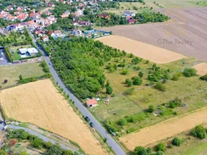 Prodej sadu/vinice, Žitenice, Skalická, 933 m2
