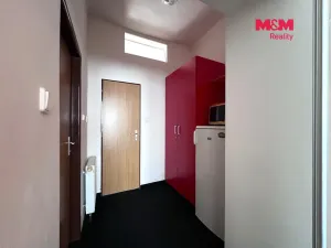 Pronájem bytu 1+kk, Prostějov, Tylova, 34 m2