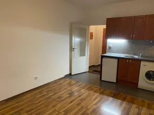 Pronájem bytu 1+kk, Praha - Vysočany, Freyova, 30 m2