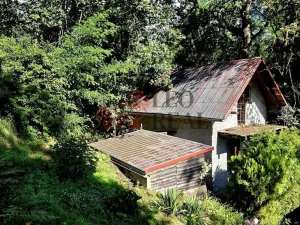 Prodej chaty, Tuřice - Sobětuchy, 66 m2