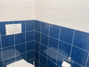 Pronájem bytu 3+kk, Hlinsko, Nádražní, 120 m2