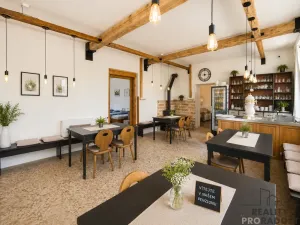 Prodej rodinného domu, Pustá Kamenice, 491 m2