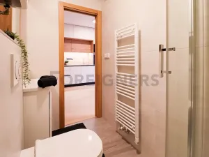 Pronájem bytu 1+kk, Brno, Cyrilská, 23 m2