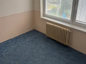 Prodej bytu 3+1, Vysoké Mýto - Brteč, 82 m2