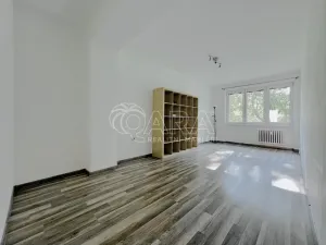 Pronájem bytu 2+1, Dřevohryzy, 51 m2