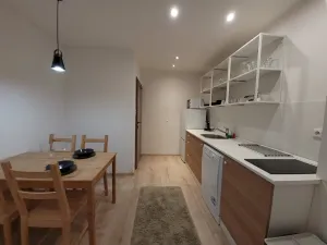 Prodej bytu 1+1, Rokytnice nad Jizerou - Dolní Rokytnice, 40 m2