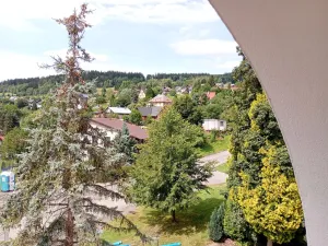 Prodej bytu 1+1, Rokytnice nad Jizerou - Dolní Rokytnice, 40 m2