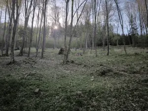 Prodej podílu lesa, Zděchov, 5288 m2