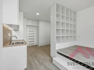 Pronájem bytu 1+kk, Praha - Žižkov, Biskupcova, 25 m2