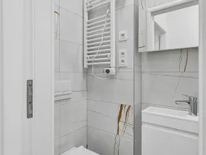 Pronájem bytu 1+kk, Praha - Žižkov, Biskupcova, 25 m2